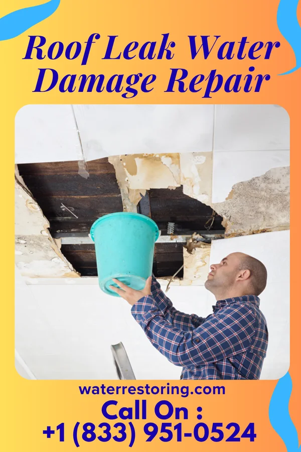 Roof Leak Water Damage Repair in Post Falls, ID